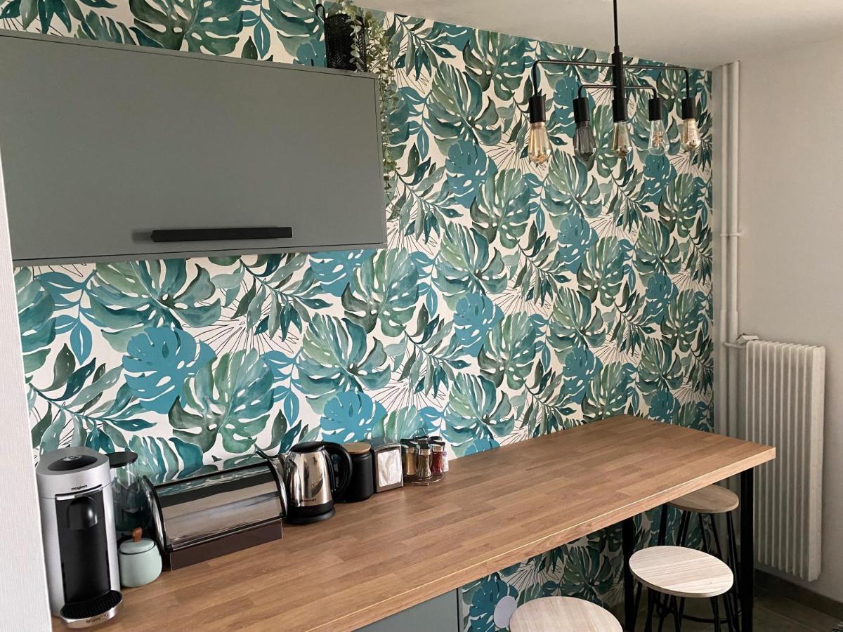 Magnifique Appartement Au Coeur De Mulhouse Bagian luar foto
